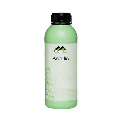 KONFLIC